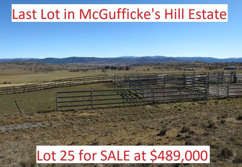 Lot 25 Old Settlers Road, Jindabyne NSW 2627, Image 0