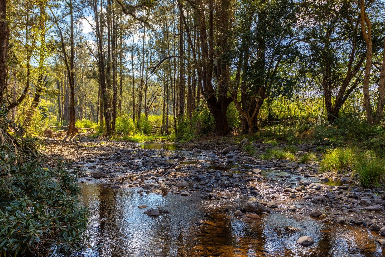 359 Kippax Road, Kippaxs NSW 2429, Image 0