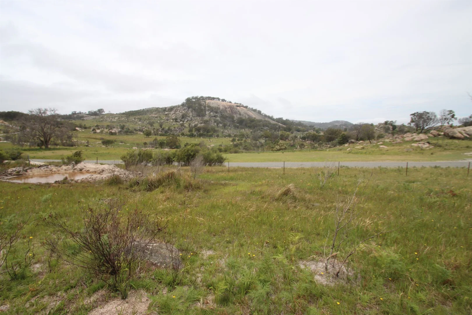 Image 11