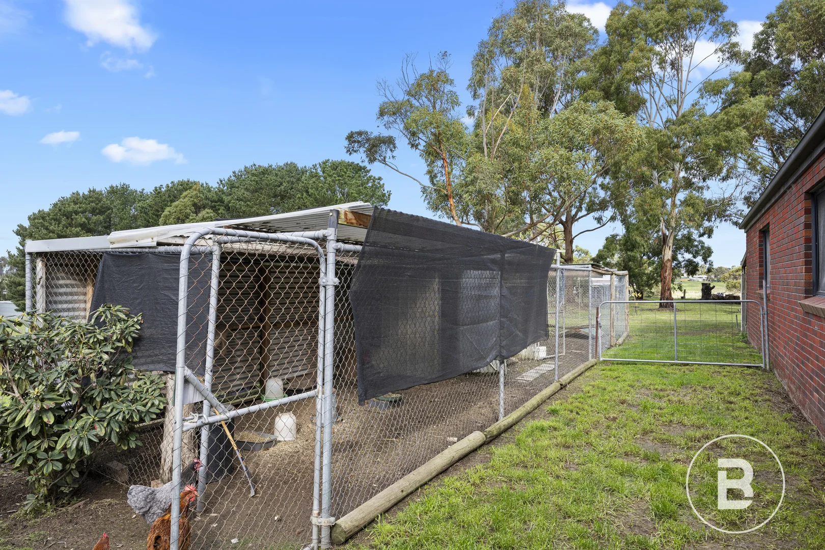 Image 33