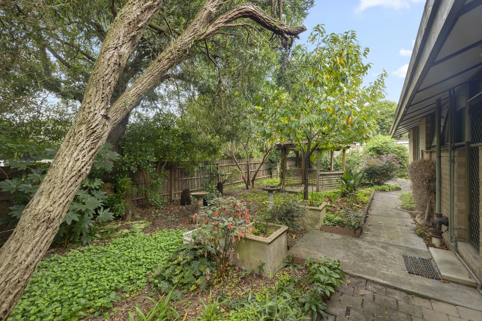 Additional image 12 of 18 Catherine Street, Boronia VIC 3155