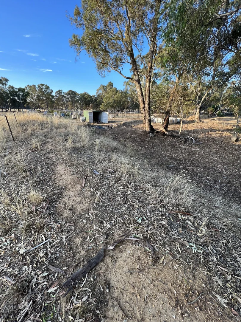 Image 11