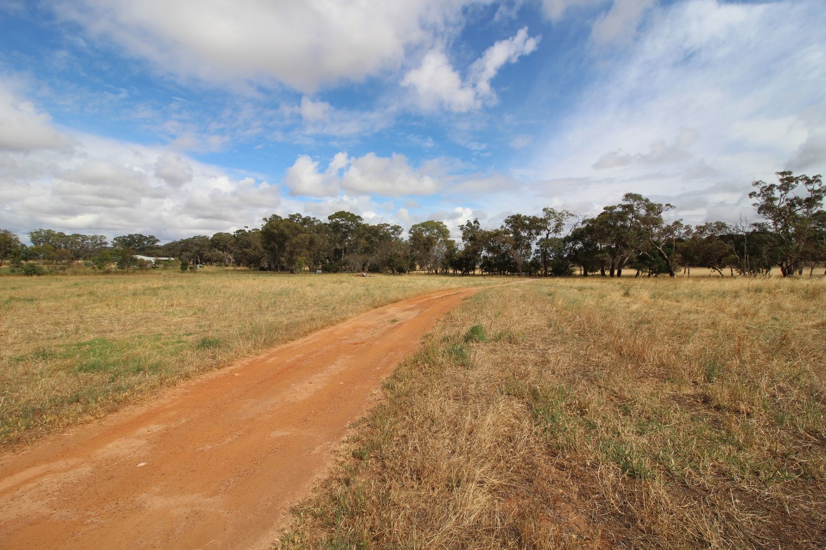 119 Fairview Road, Lucindale SA 5272 House for Sale 250,000