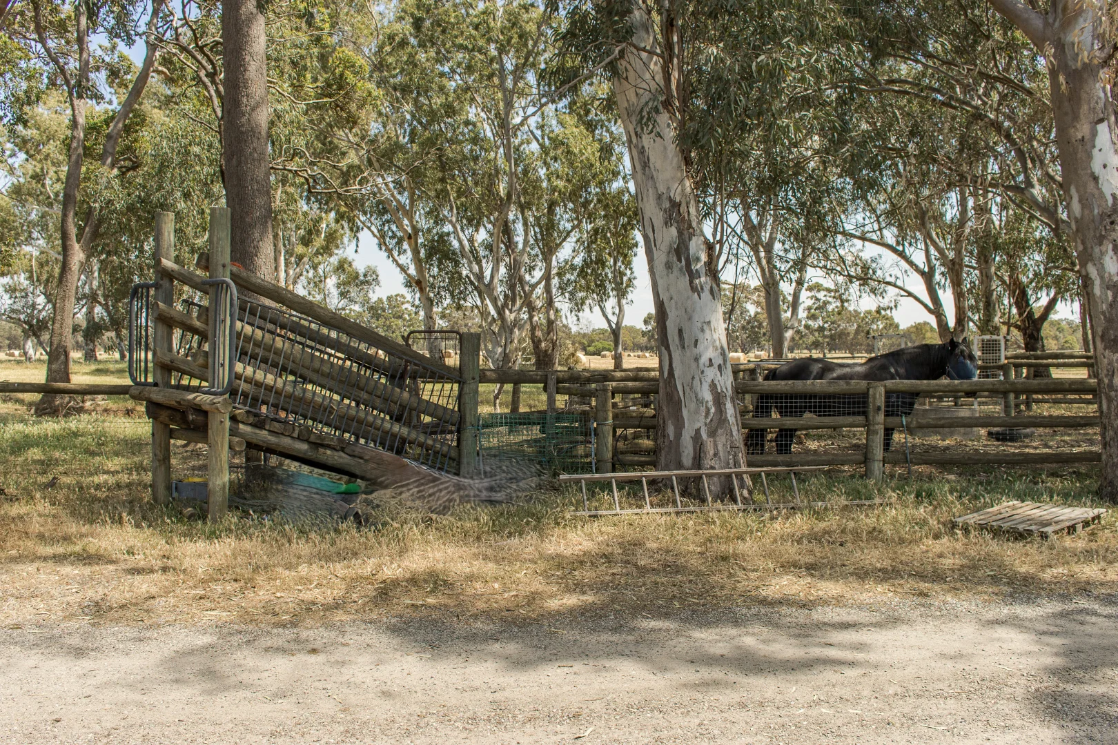 Image 7