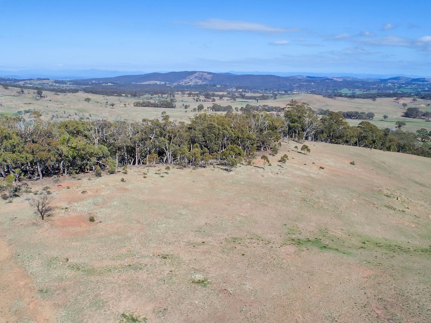 Lot 40 Birchmans Grove, Wamboin NSW 2620, Image 1