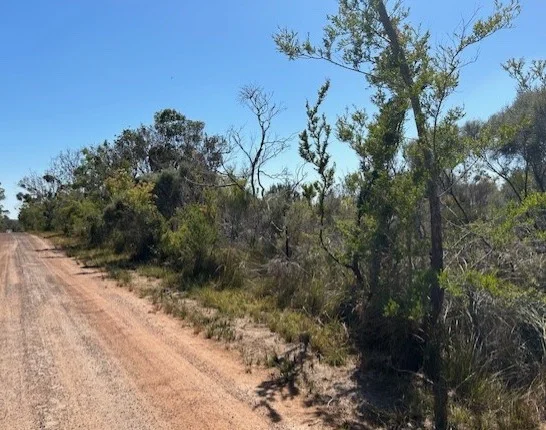 Additional image 4 of Lot 581 Fifth Street, French Island VIC 3921