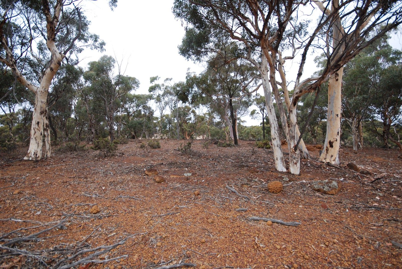 Lot 5567 York-Williams Rd, Pumphreys Bridge WA 6308, Image 0