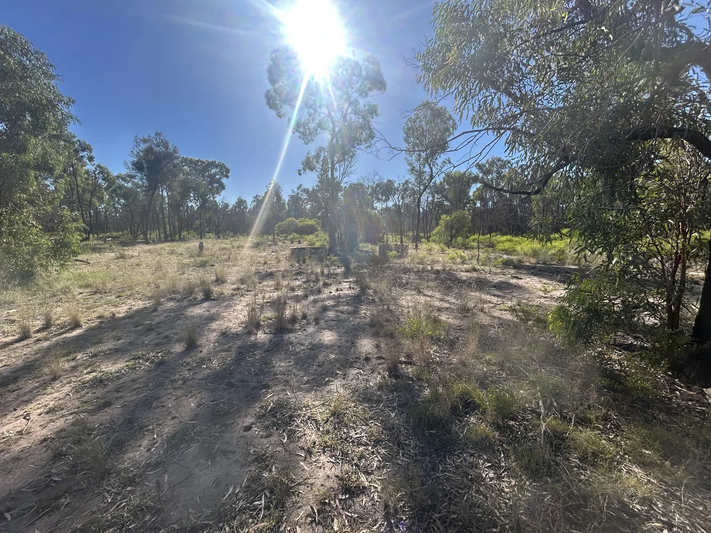 Lot 46/319 Males Drive, Tara QLD 4421