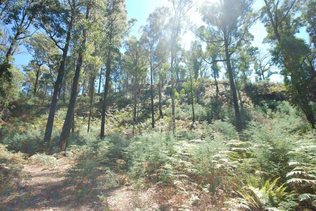 Lot (1) Pearces Road, Strickland TAS 7140, Image 1