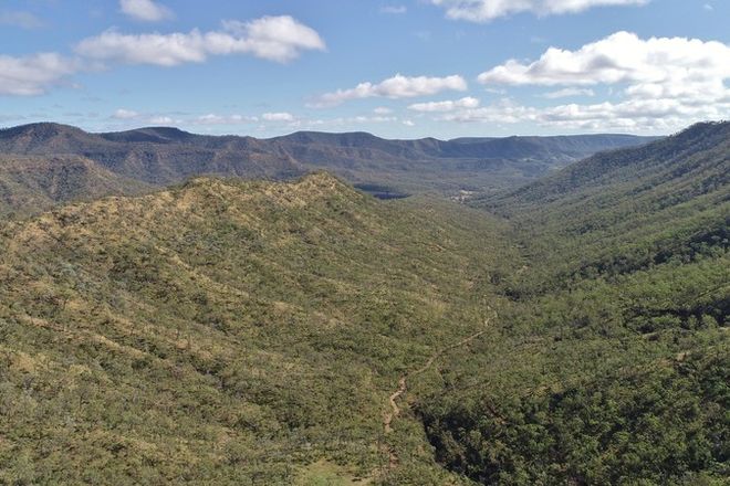 Picture of BLACK DUCK CREEK QLD 4343