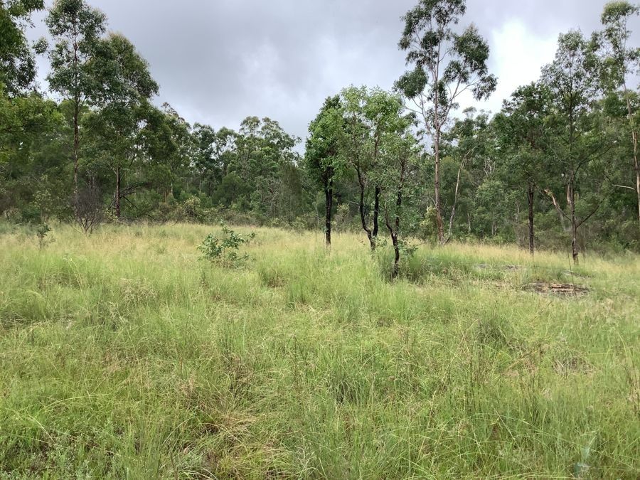 Lot 4 Pierces Creek Road, Mountain Camp QLD 4355, Image 0