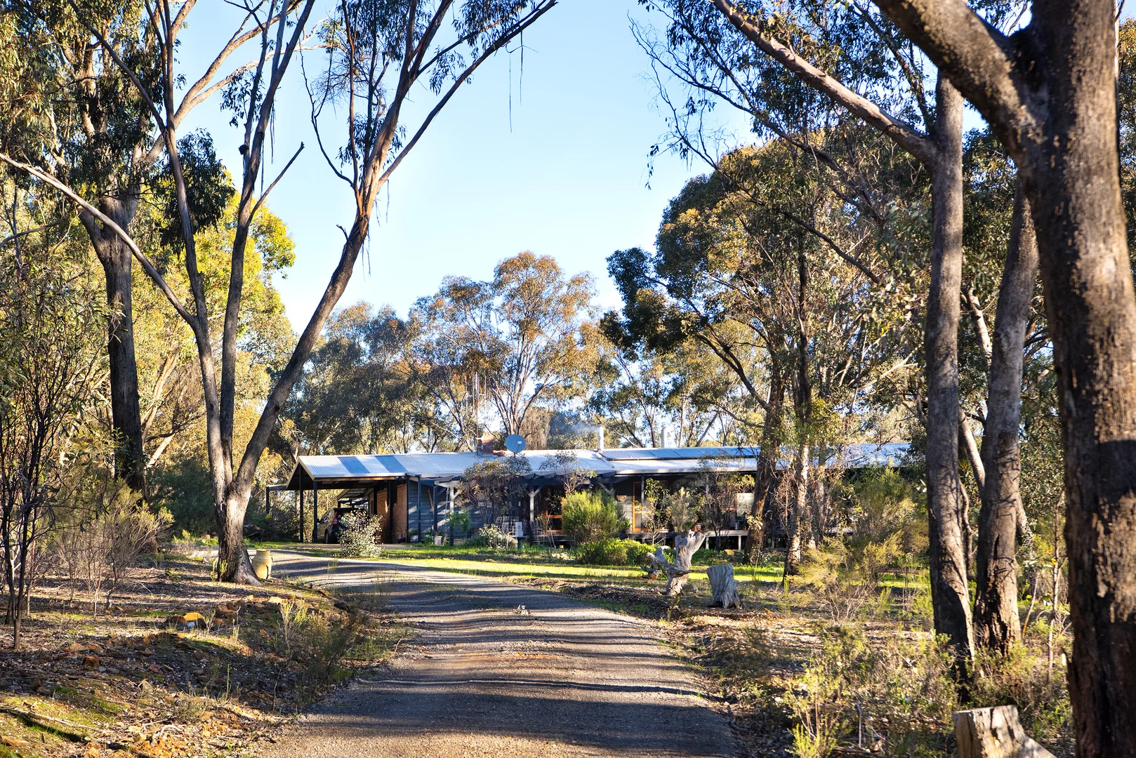 Image 15