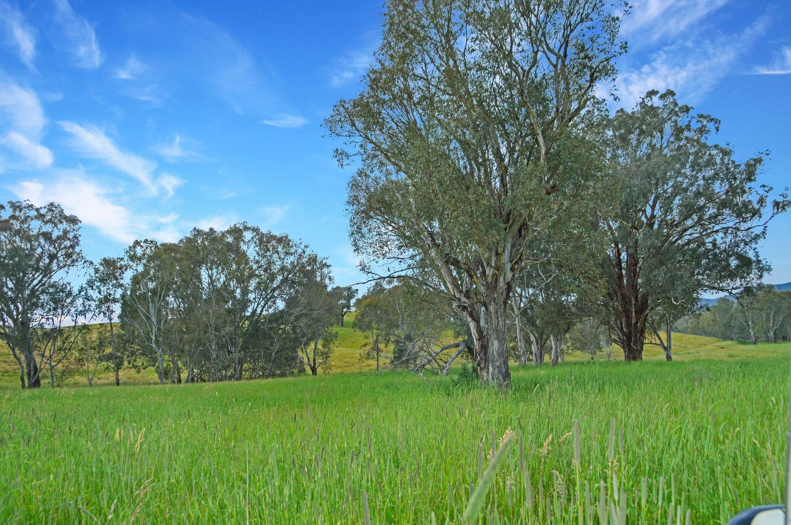 Humula NSW 2652, Image 1