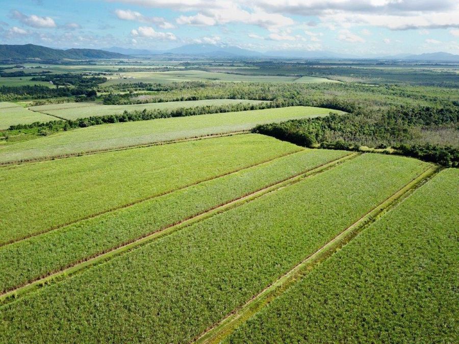 Cane Farms, Innisfail QLD 4860 House for Sale Domain