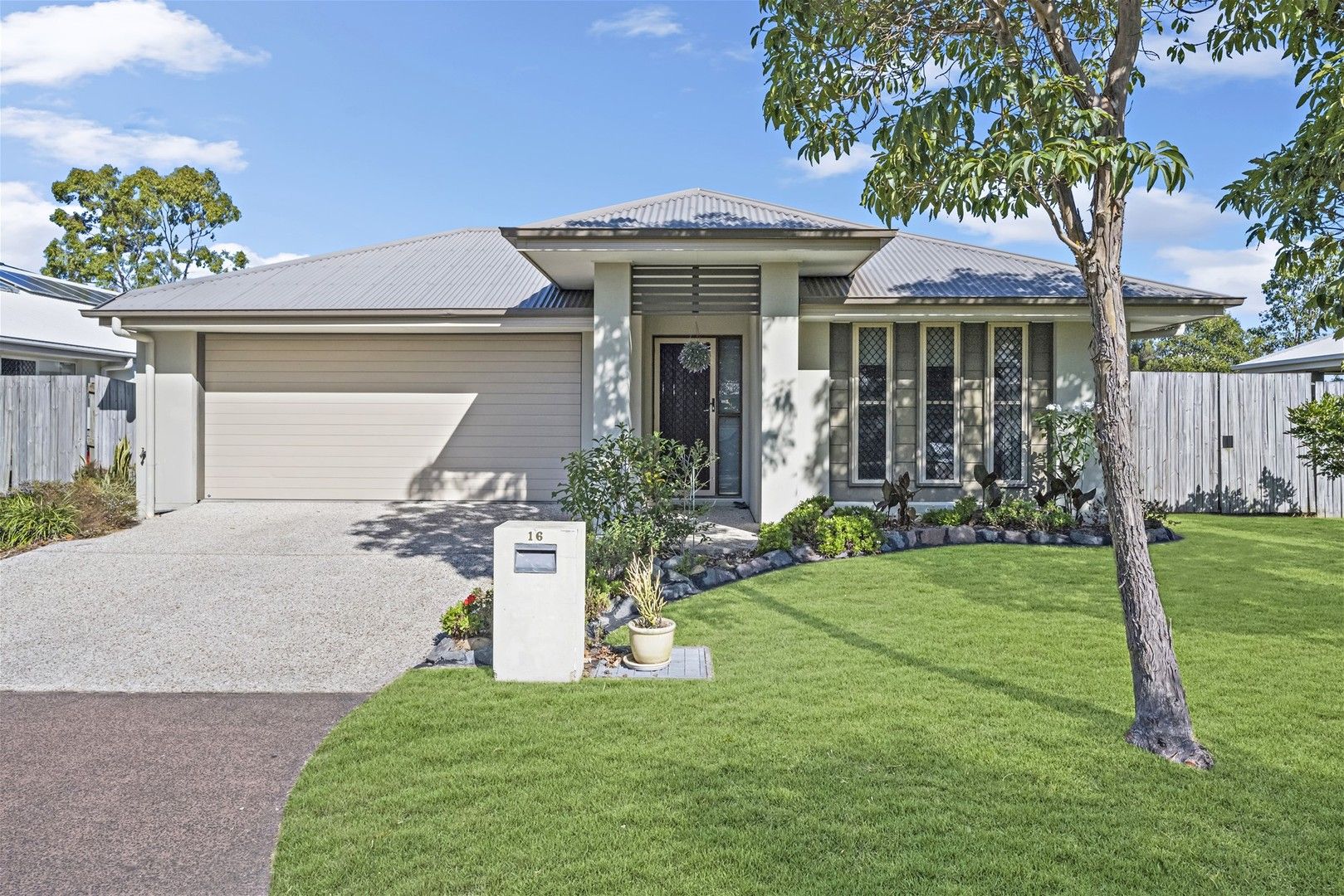 16 Yucca Court, Mountain Creek QLD 4557, Image 0