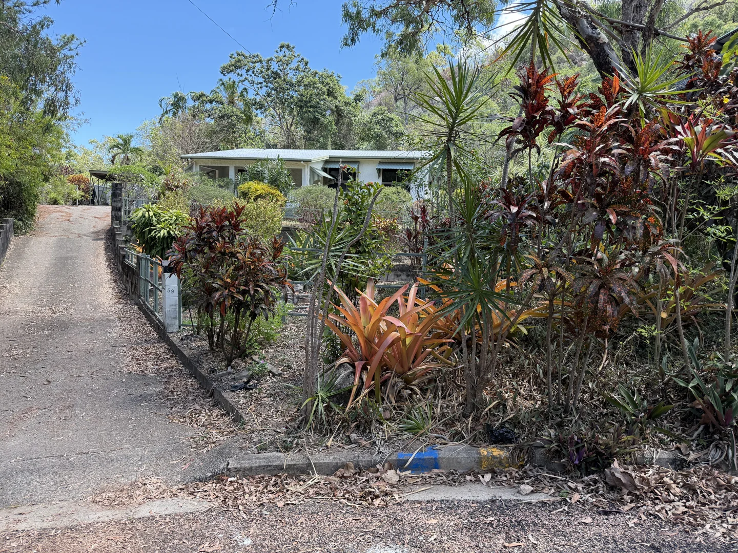 Image 15