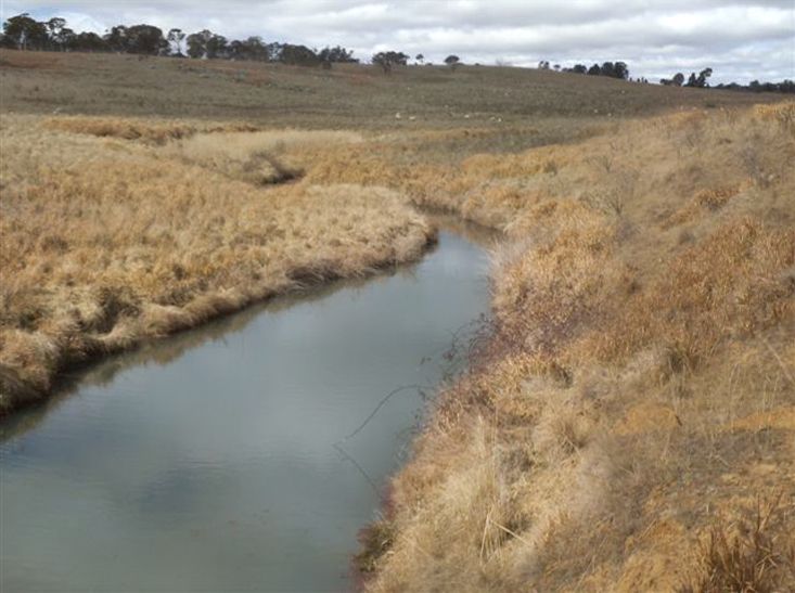 Kentucky NSW 2354, Image 1