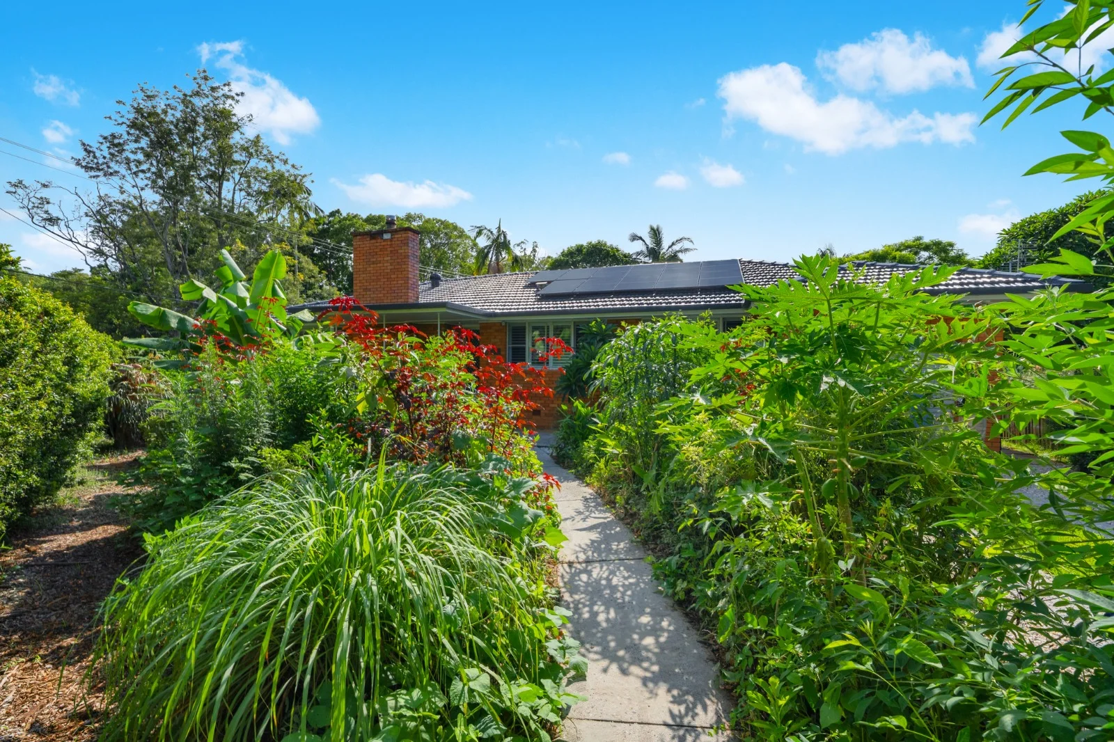 Additional image 20 of 2a Gordon Street, Mullumbimby NSW 2482