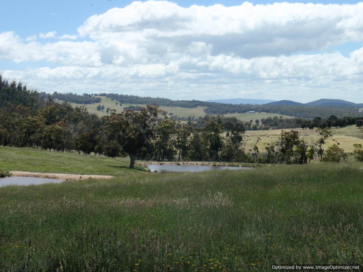 859 Snowy River Road, WULGULMERANG VIC 3885, Image 2