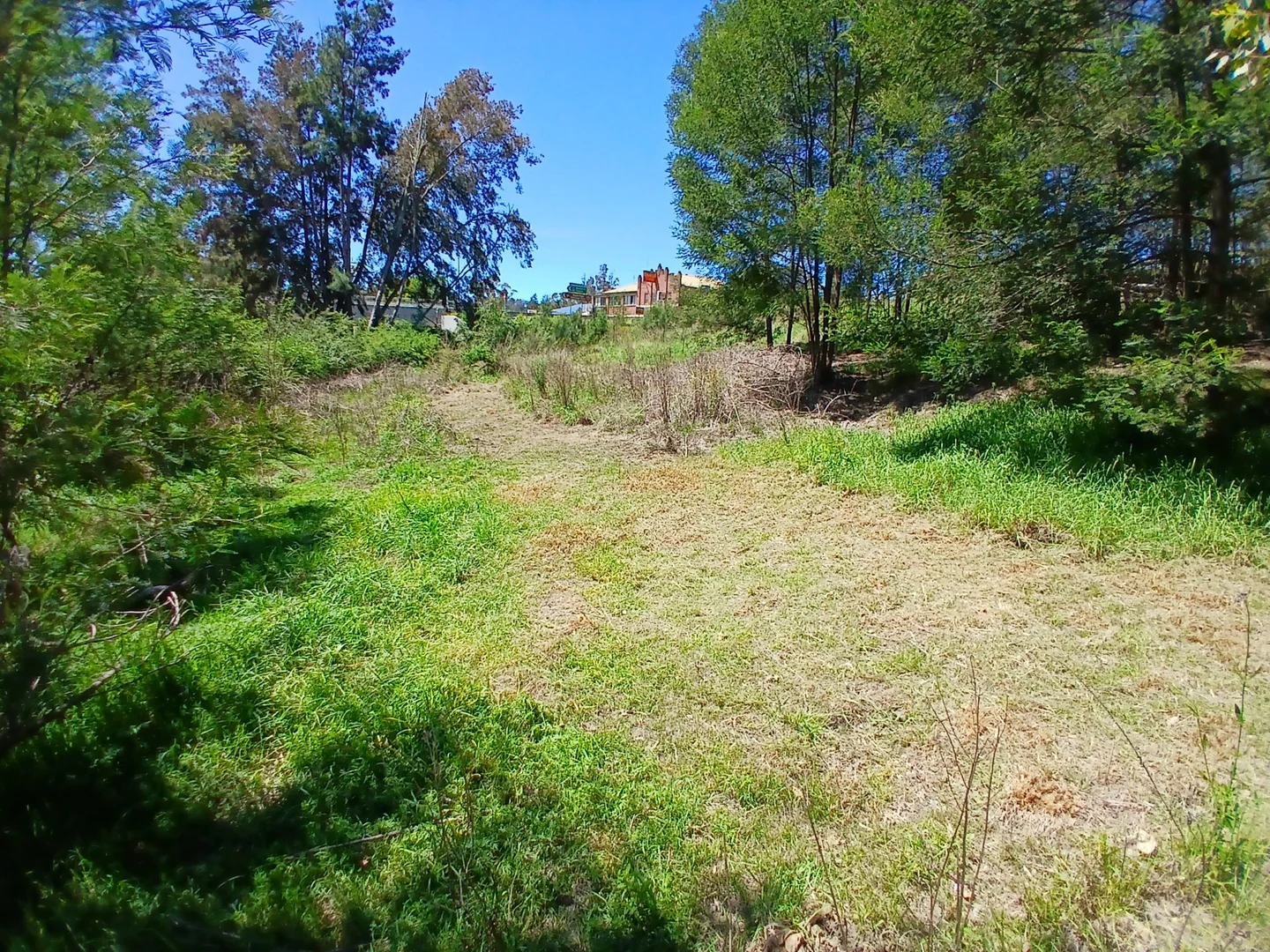 Image 6