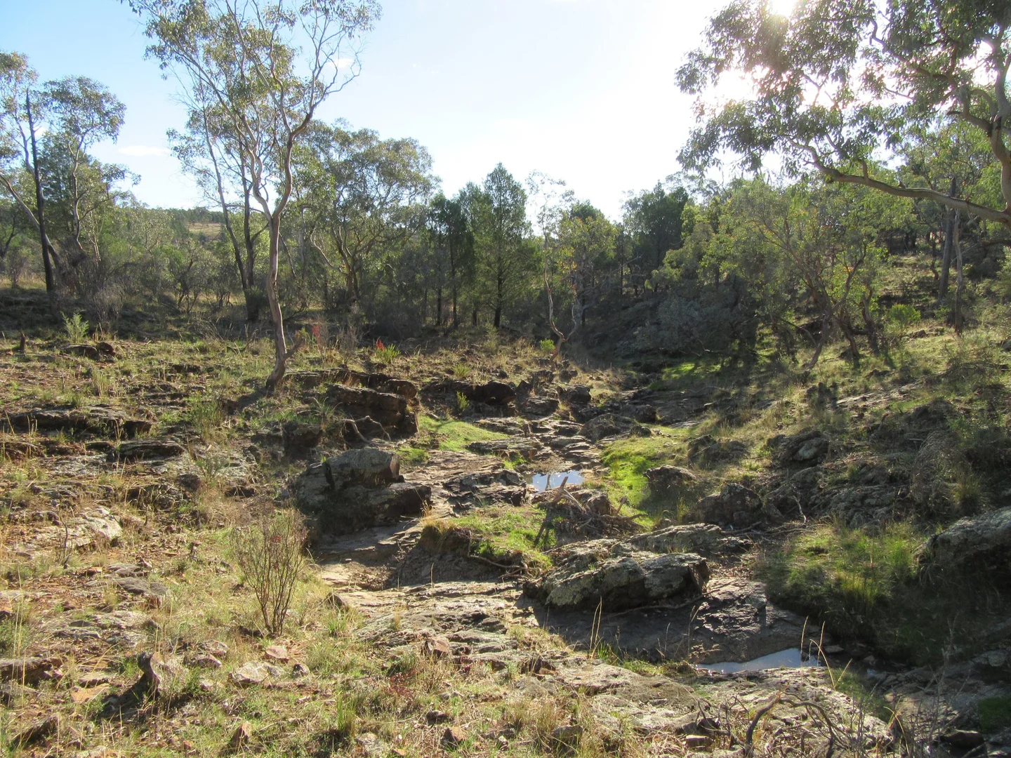 Additional image 8 of 141 Cenn Cruaich Road, Coonabarabran NSW 2357