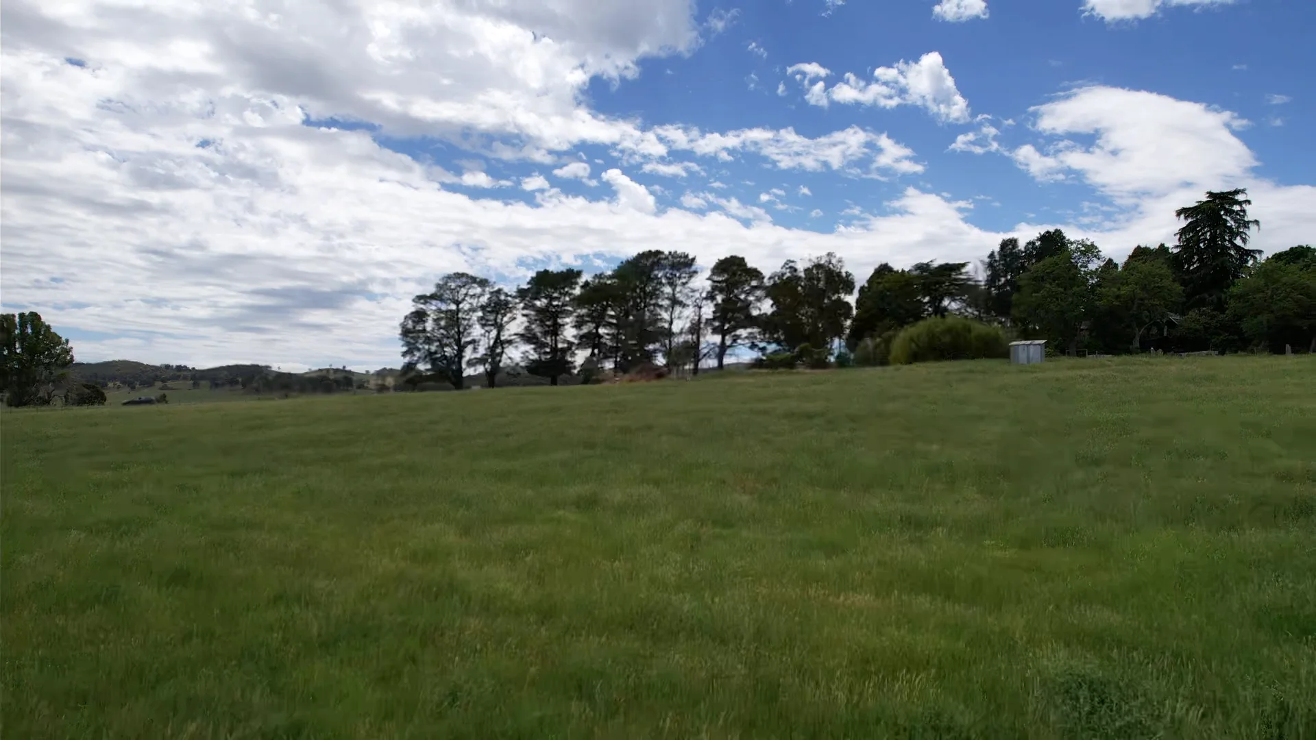 Image 36