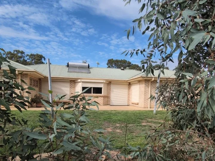 Primary image of 1043 Black Heath Rd, Tungkillo SA 5236