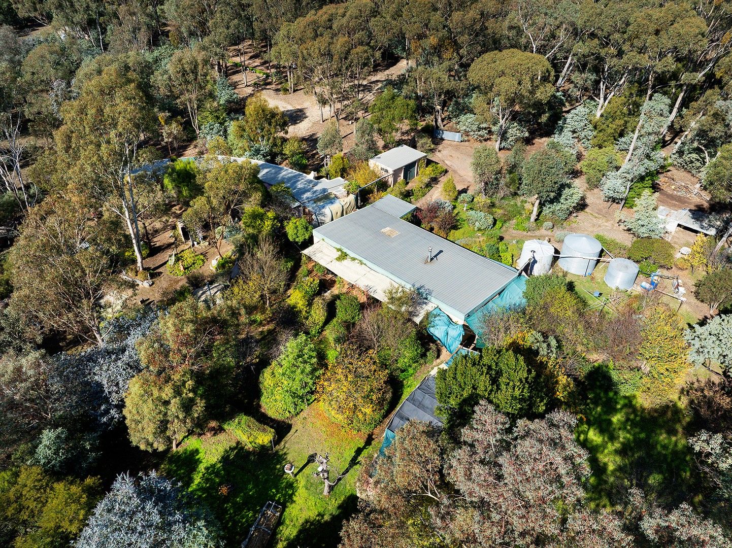 171 Blackjack Road, Harcourt VIC 3453, Image 0