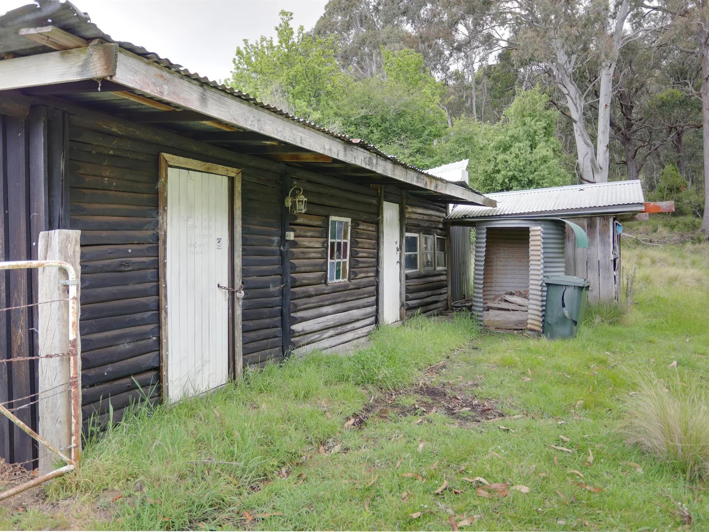 Image 11