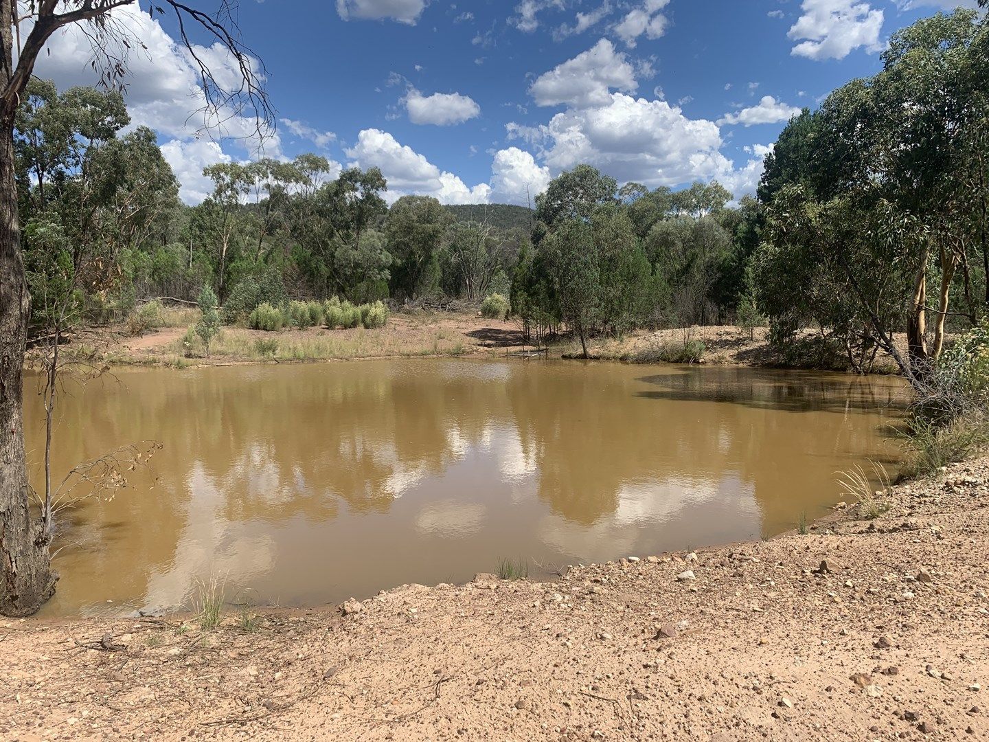 Lot 3 Warraderry Way (Gooloogong Via Cowra), Cowra NSW 2794, Image 0