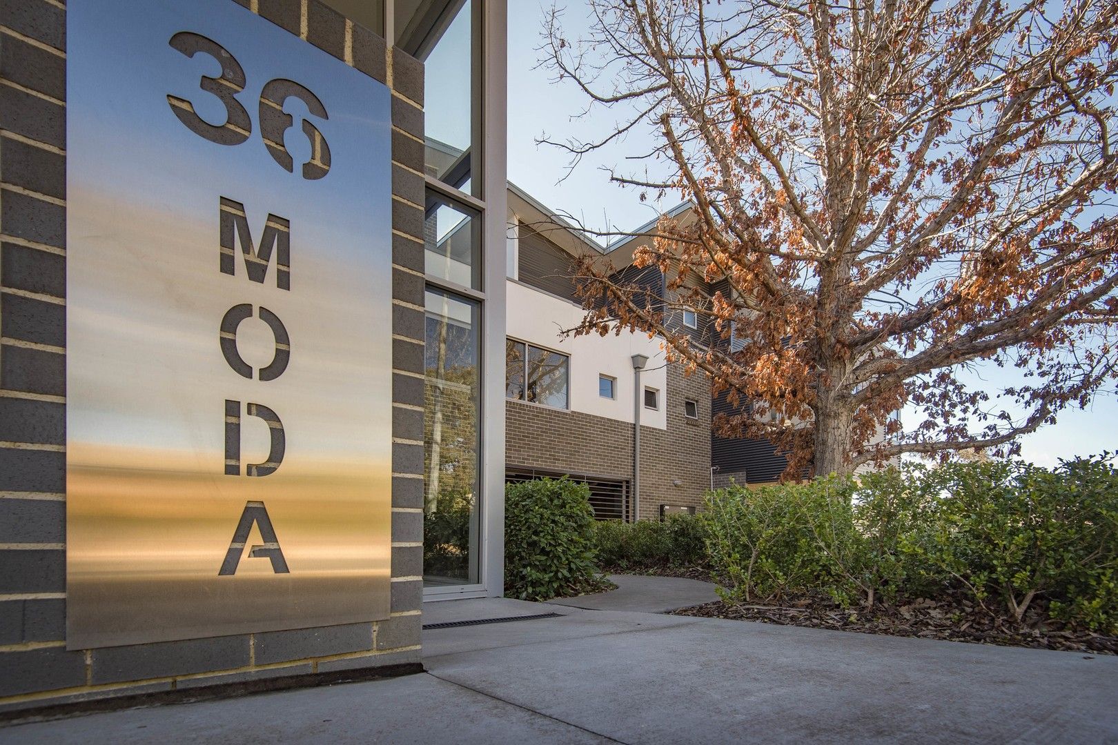 1 bedrooms Apartment / Unit / Flat in 6/36 Petterd Street PAGE ACT, 2614