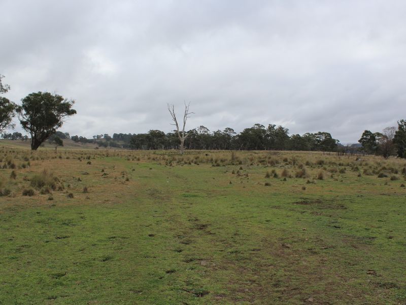 Various Creewah Road, Cathcart NSW 2632, Image 2