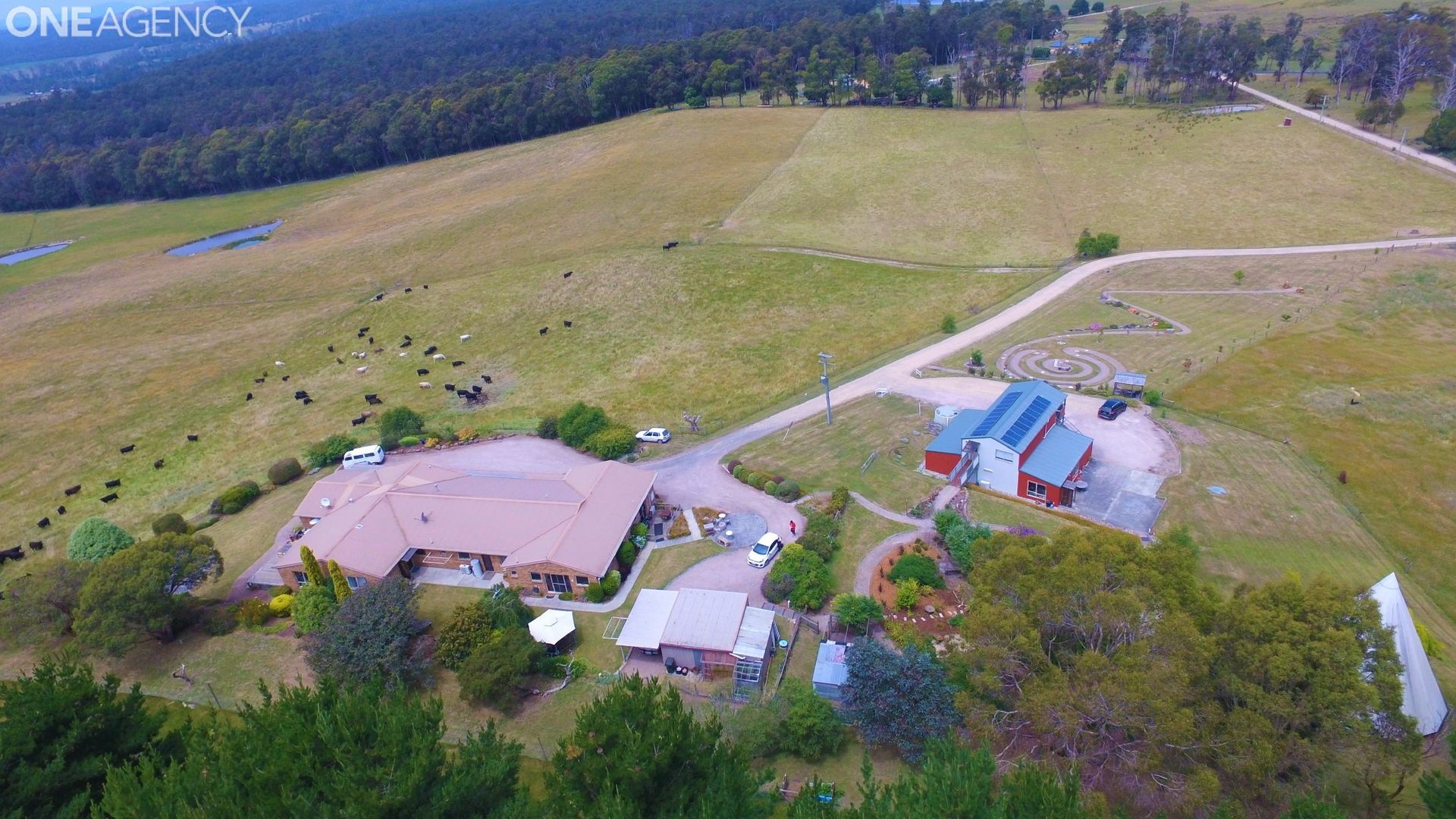 298 Coal Hill Road, Latrobe TAS 7307, Image 1