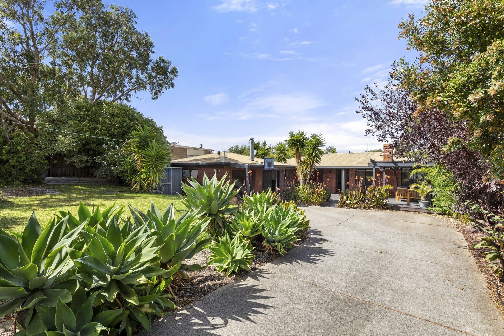 18 Richard Avenue, Ocean Grove VIC 3226 Domain