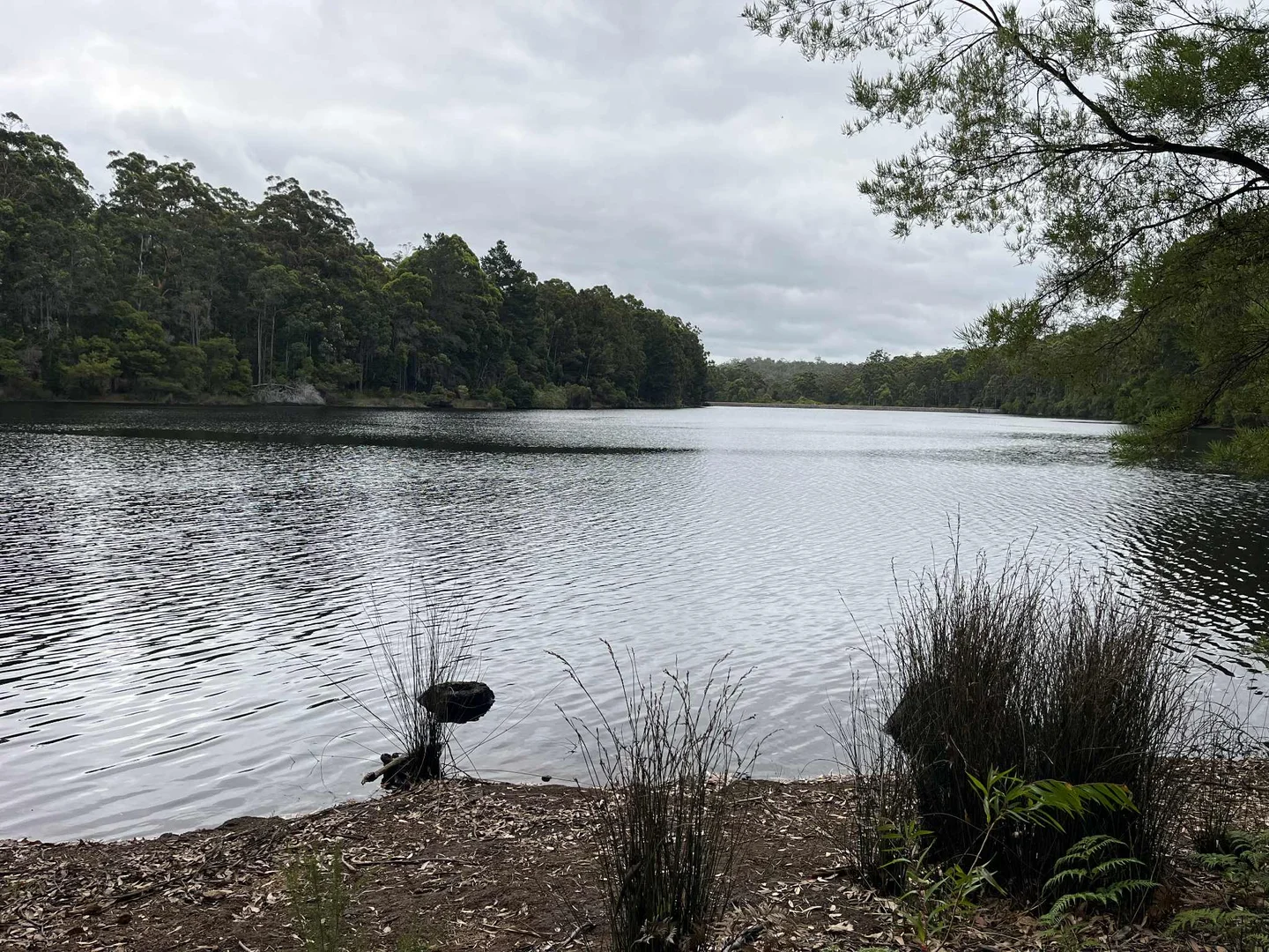 Image 9
