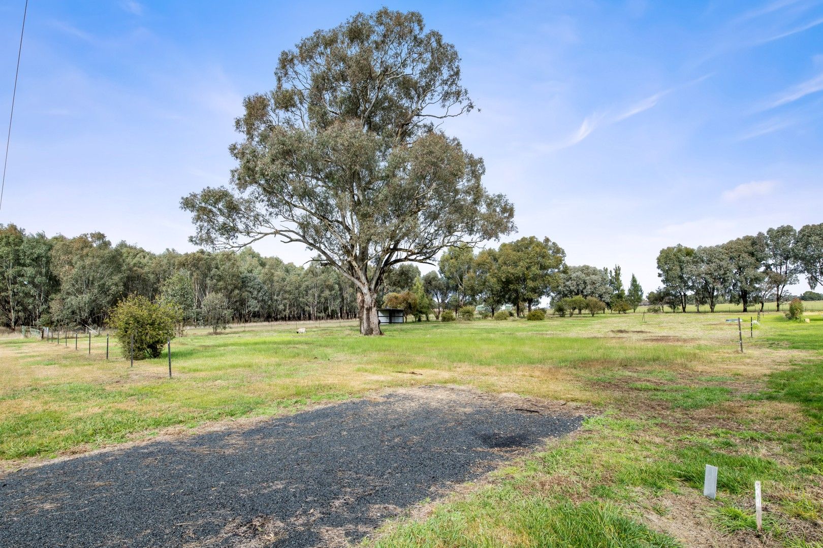 7 Lakeview Drive, Table Top NSW 2640, Image 1
