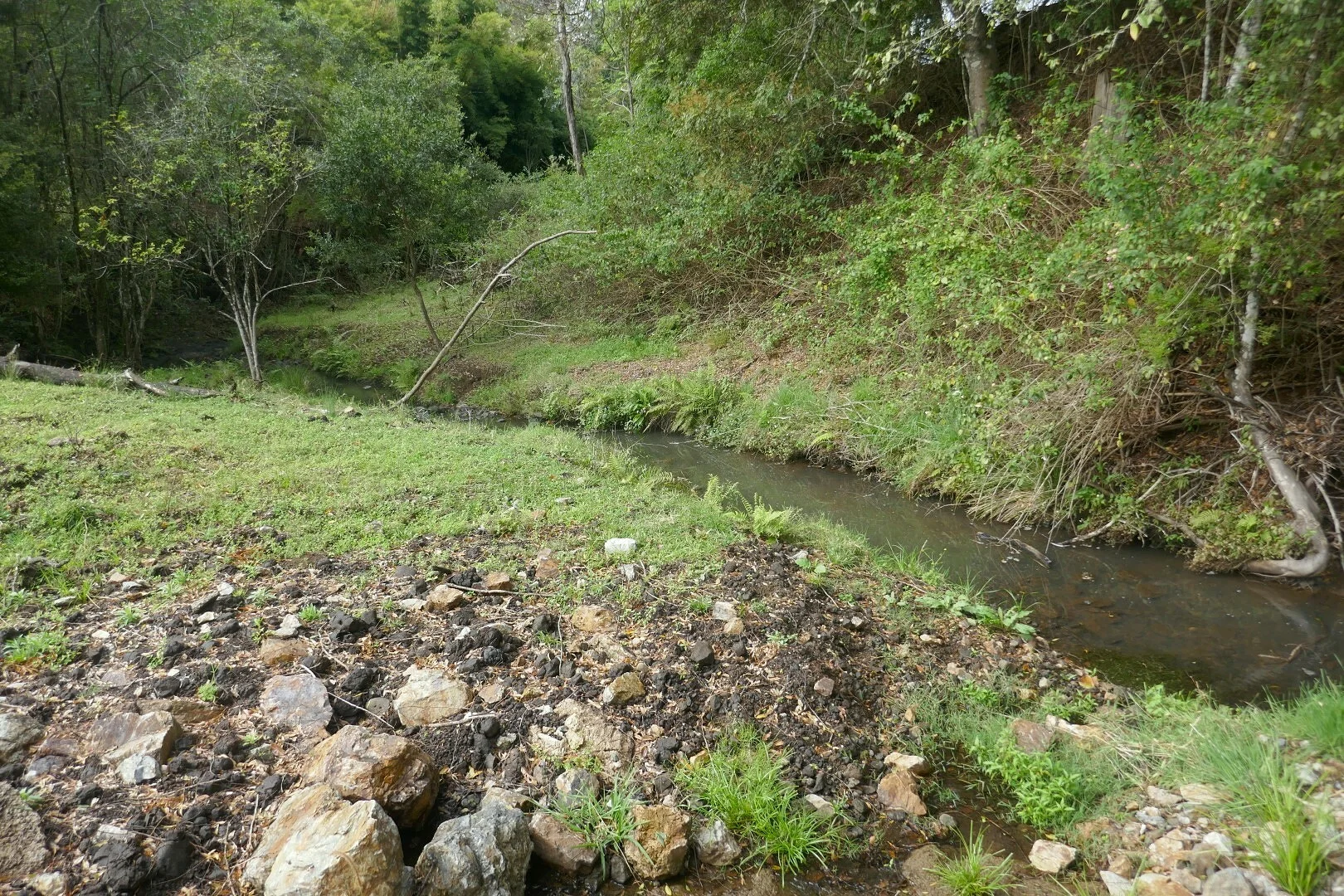 Image 15