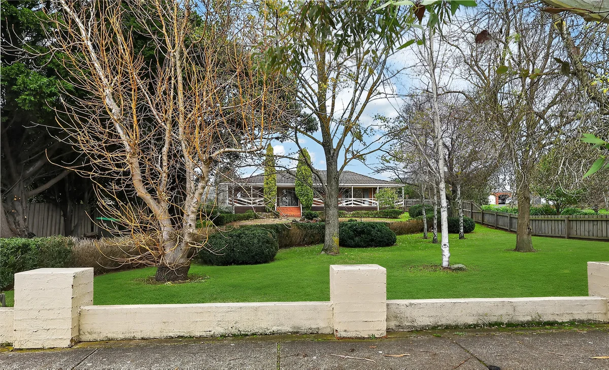 Image 14