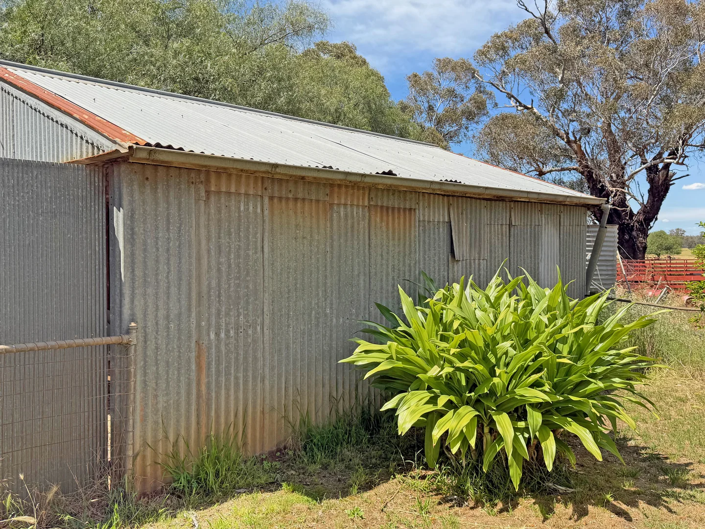 Additional image 7 of 605 Major Plains Road, Major Plains, Benalla VIC 3672