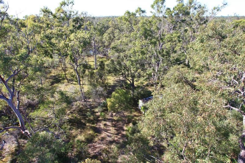 2297 Childers Rd, Elliott QLD 4670, Image 2