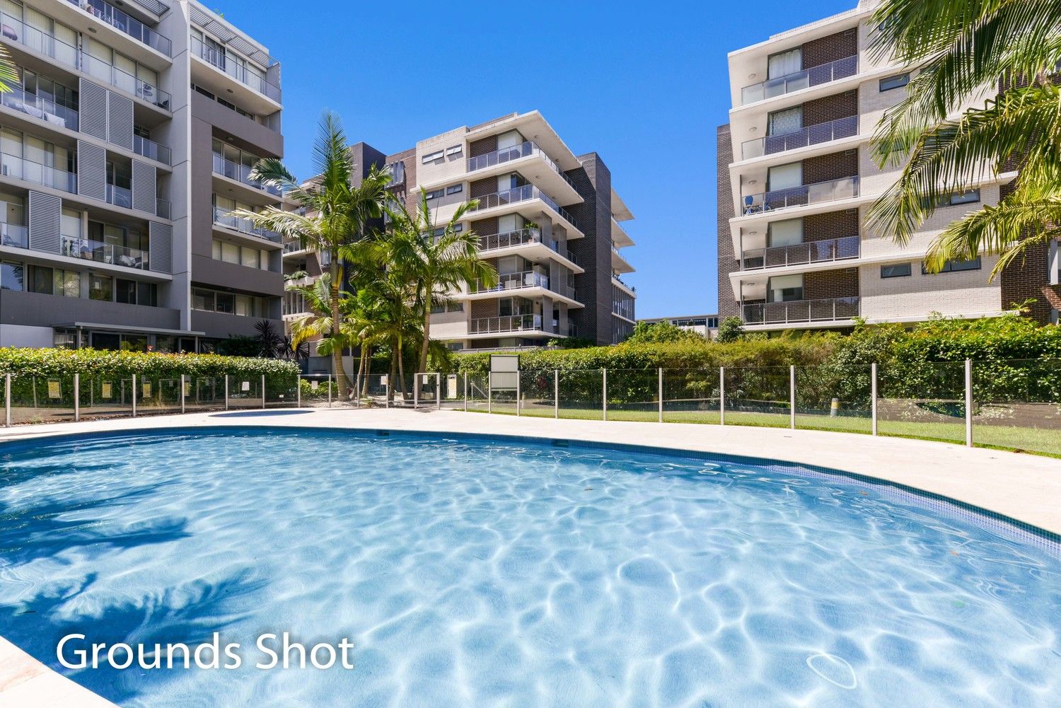 509H/911 Wollongong Road, Arncliffe NSW 2205 Apartment For Rent Domain