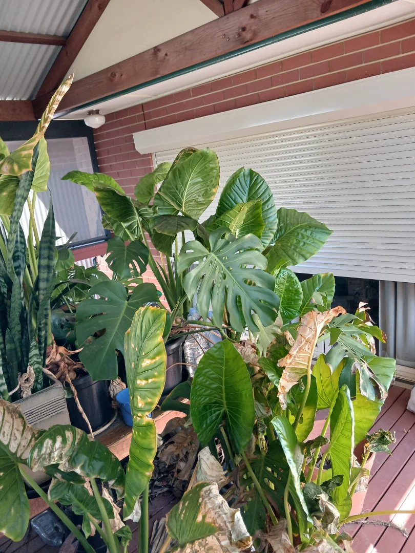 Additional image 11 of 6A Fourth Ave, St Morris SA 5068