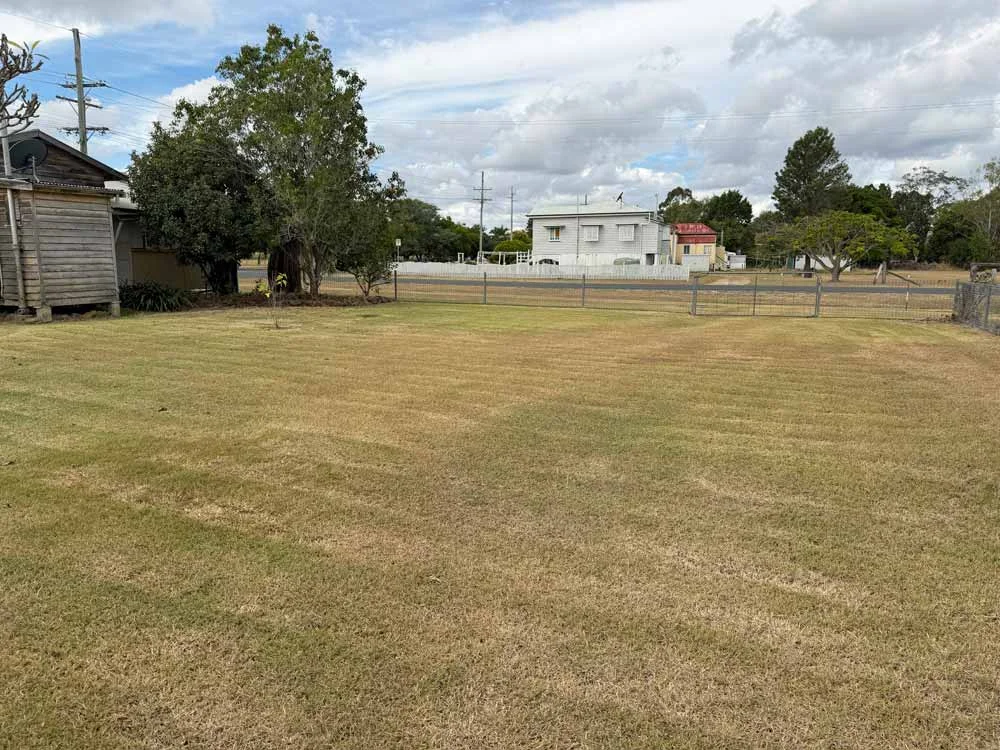 Image 15