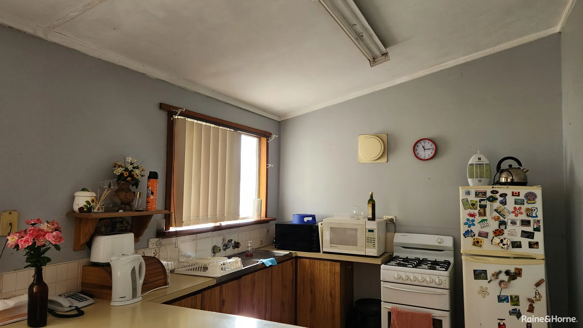Image 21