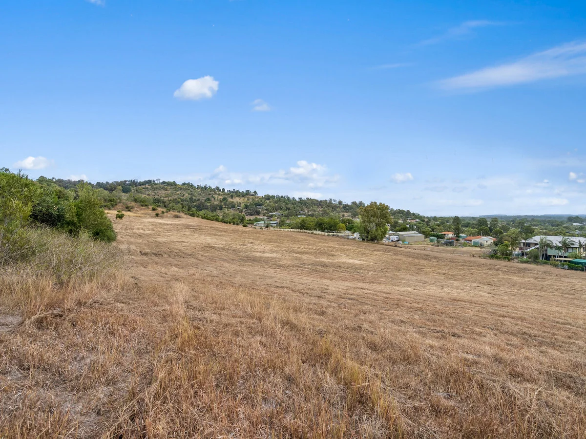 Image 13