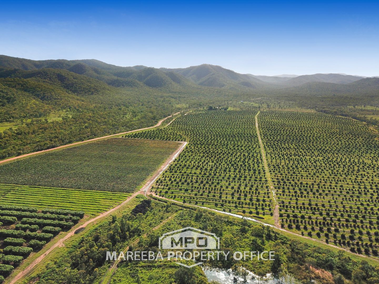 531 Boonmoo Road, Dimbulah QLD 4872 House for Sale Domain