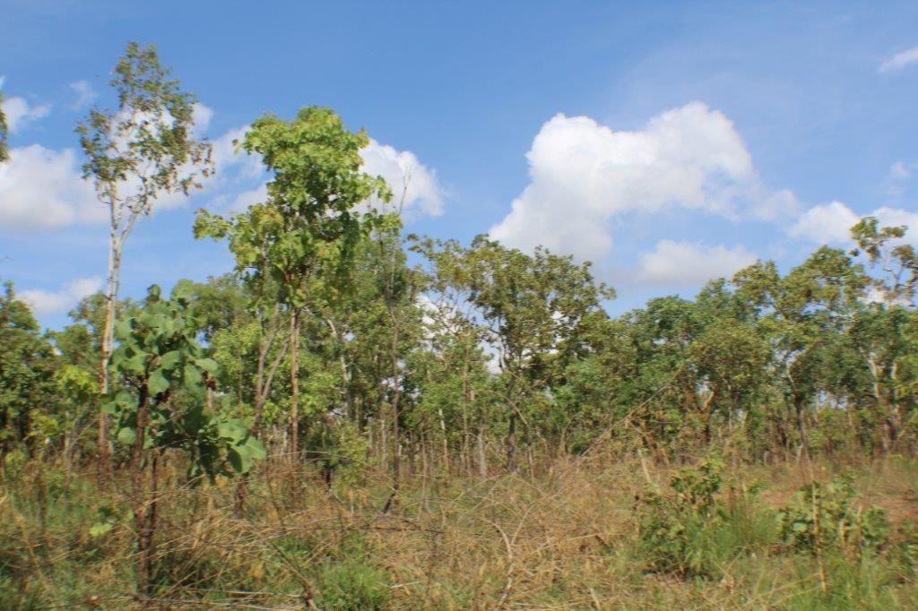 Crater Lake Road, Batchelor NT 0845, Image 0