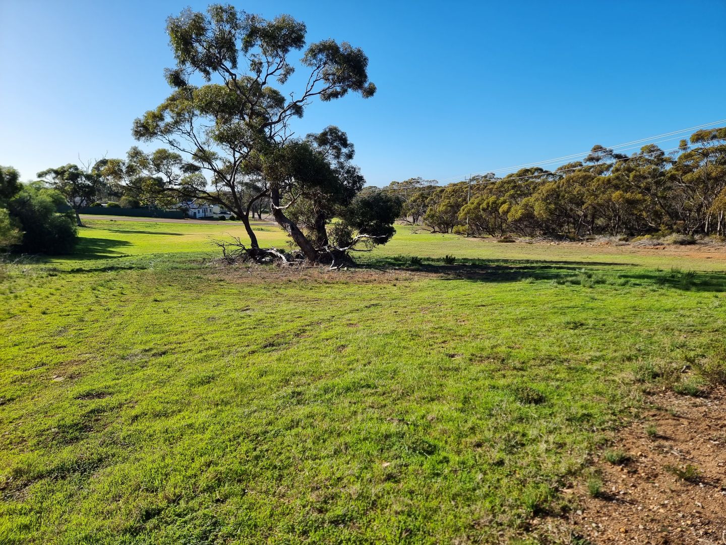 99 Martin Street, Ravensthorpe WA 6346, Image 1