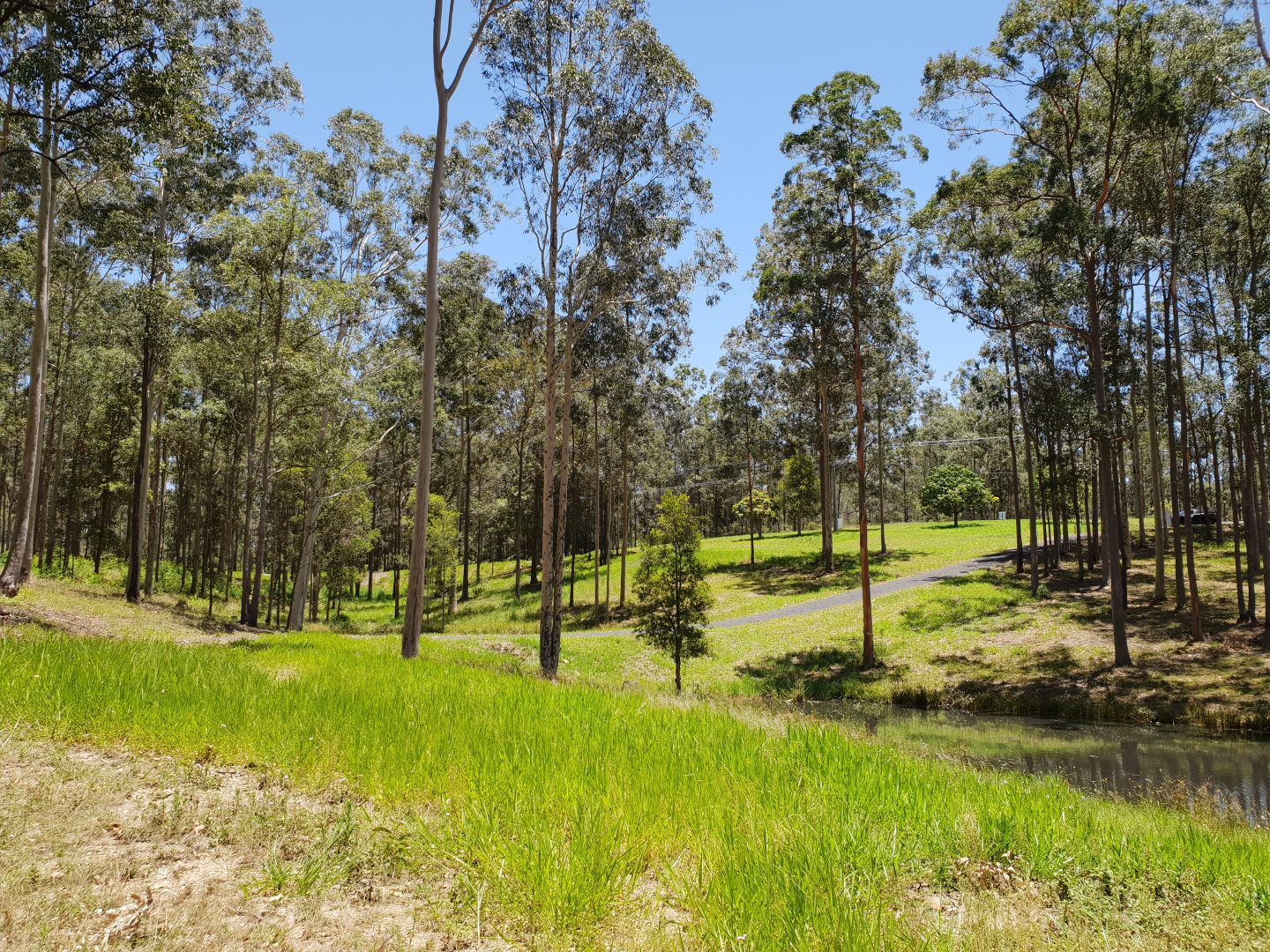 Memory Lane, North Deep Creek QLD 4570, Image 2