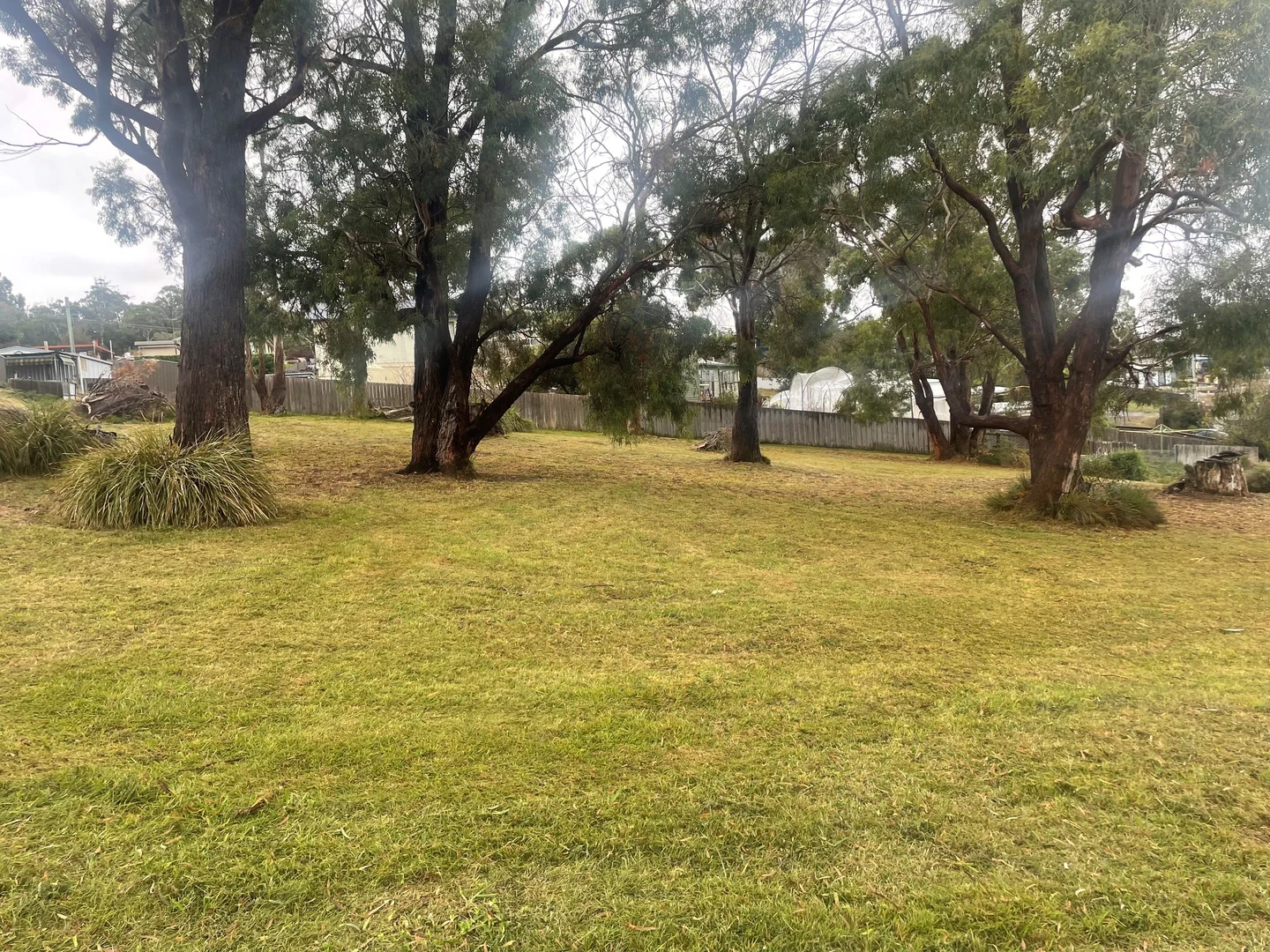 Image 18